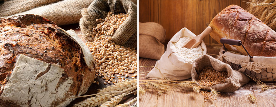 Excellent raw materials for flour